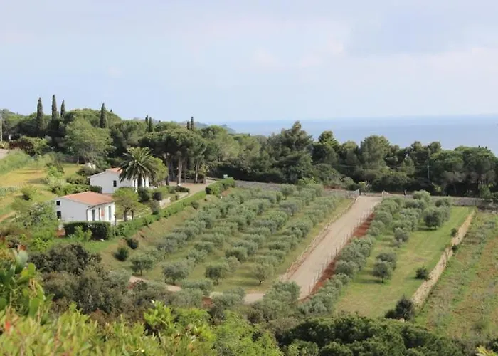 Zuccale - A 200 Mt Dalla Capoliveri (Isola d'Elba)