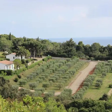 Zuccale - A 200 Mt Dalla Capoliveri